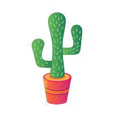 Cactus Pot Plant Green Desert Nature