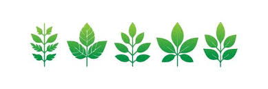 Page 23 Garden Care Vector Art Icons