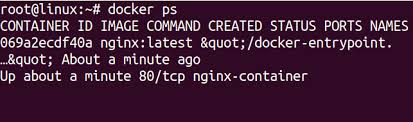 run commands in a docker container with