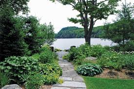 Lush Plantings For Your Lakeside Lawn