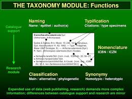 Ppt The Taxonomy Module Functions