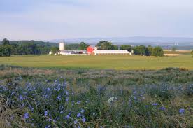 On Farm Conservation Policies And