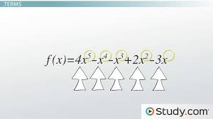 Terminology Of Polynomial Functions