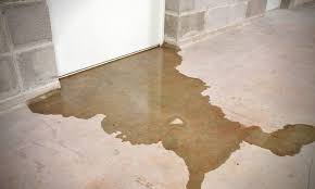 How To Prevent Basement Flooding Woodard