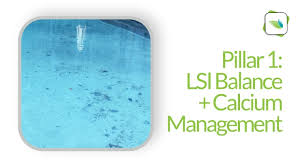 Lsi Balance And Calcium Management