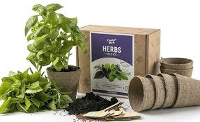 6 Best Indoor Herb Garden Kit Facts Net