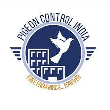 Pigeon Control India In Vadodara India