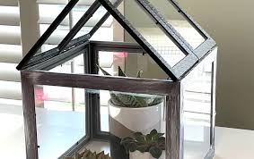 Dollar Tree Diy Garden Greenhouse