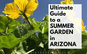 Summer Gardening In Arizona Growing