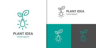 Nature Plant Logo Design Modern Logo