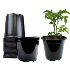 2 Gal Plastic Nursery Trade Pots