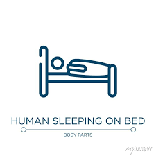 Bed Icon Linear Vector Ilration