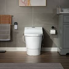 ᐅ Woodbridge Toilet Bidet Luxury