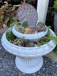 Creating A Cactus Garden In Containers