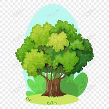 Tree Garden Ilration Icon Ecology