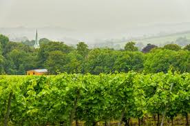 Kent Wine Tour Top Wineries To Visit