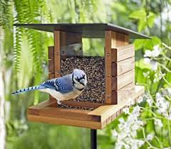 20 Best Diy Wooden Bird Feeders Plans