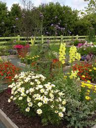 Elizabeth Eddie On Flower Garden Dreams