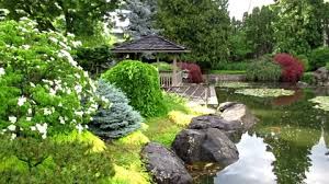 Japanese Zen Garden Stock Footage