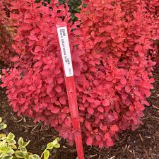 Top 10 Best Pond Supplies In Austin Tx