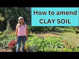 How To Improve Clay Soil