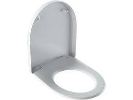 Icon Toilet Seat By Geberit