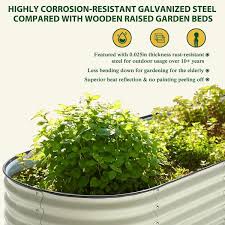 Galvanized Raised Garden Bed