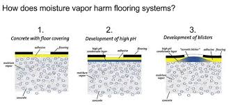 Moisture Vapor Transmission Concrete