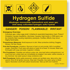 Chemical Hydrogen Sulfide Label Sku