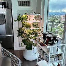 Indoor Vertical Gardening A Beginners