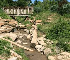 Cincinnati Nature Center Top 10