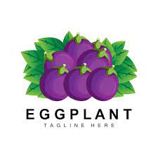Eggplant Logo Design Vegetables