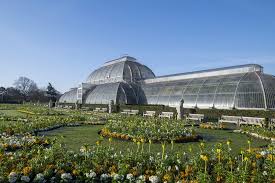 The C Th Guide To Kew Gardens What To