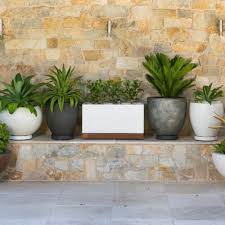Small Plants For A Small Space Abc