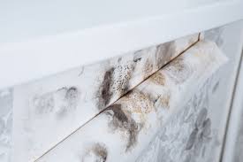 How To Remove Mould From Wallpaper