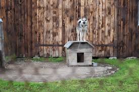 9 Diy Pallet Dog House Plans You Can