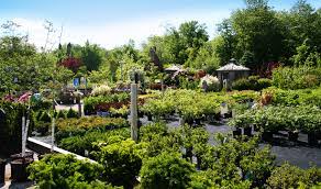 Lakeland Plant World Year Round Full