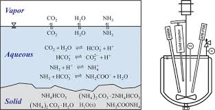 Growth Kinetics Of Ammonium Bicarbonate