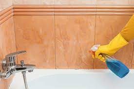 Clean Mold In Bathrooms Shower Tubs