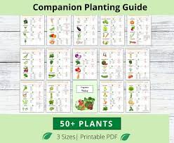 Companion Planting Guide Garden