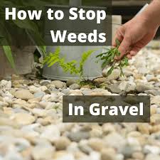 Weed Control In Gravel Areas