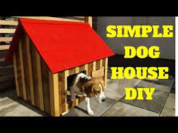 Simple Fast Dog House Build