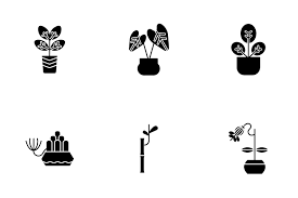 797 Indoor Plant Icon Packs Free In