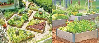 Tips For A Raised Bed Vegetable Garden