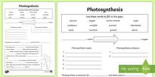 Printable Photosynthesis Worksheet For