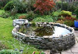 12 Above Ground Koi Pond Ideas To