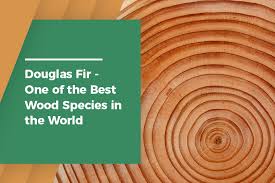 douglas fir best wood species in the world