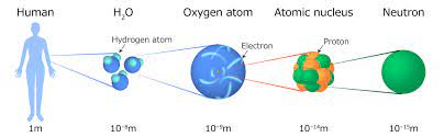 neutron experiment j parc mlf