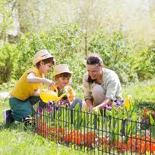 Black Metal Decorative Garden Fence