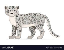Snow Leopard Standing On A White